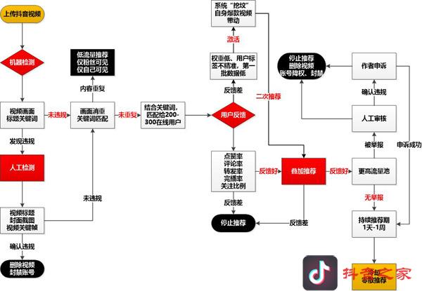 關(guān)于抖音的算法及機制，有多少可信度？